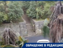Жительница Сочи бьет тревогу из-за массовой гибели пальм
