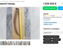 За 1 миллион рублей в Сочи продают два гвоздя, найденные на дне Черного моря