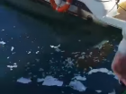 В морском порту Сочи наносят значительный ущерб экологии