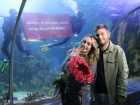 Посейдон благословил: парень сделал предложение своей возлюбленной в сочинском океанариуме 