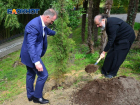 «Дерево, которое нас объединяет»: епископ сочинский и туапсинский высадил кипарис в парке «Дендрарий»
