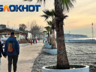 Жить или не жить: минусы и плюсы главного курорта страны - Сочи 