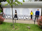 «Верните Битлов»: многие сочинцы раскритиковали действия депутата за смену граффити