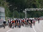 Из-за велогонки на три дня ограничат движение в горах Сочи