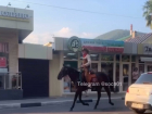 Ковбой, детка: по сочинским улицам разъезжал мужчина на коне 
