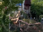 Повалило деревья и пропало электричество из-за сильного ветра в Сочи