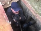 Не перевелись еще настоящие мужчины: сочинец героически спас собаку