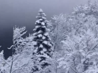 Сочинские горы замело снегом