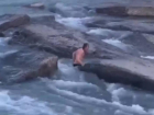 Сочинец устроил экстремальный заплыв в горной реке