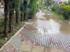 Фекальный гейзер образовался на улице в Сочи