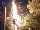 Новогодние фейерверки в Сочи стали причиной возгорания