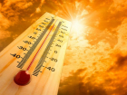 Власти Сочи объявили экстренное предупреждение из-за жары