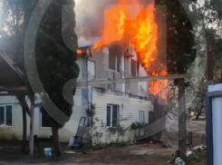 Погорелец из Сочи обвинил енота в пожаре