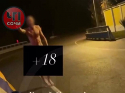 Голый мужчина бегал за машинами на ночной трассе в Сочи