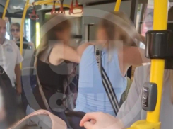 Две пассажирки подрались в сочинском автобусе на глазах у ребенка