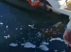В морском порту Сочи наносят значительный ущерб экологии