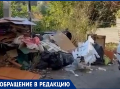 Жительница Сочи в ужасе от мусорных завалов города: «Это как вообще, нормально?»