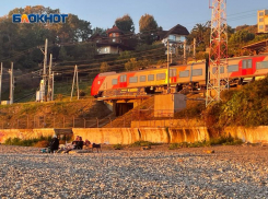 В Сочи 12 поездов задержали из-за упавшего дерева