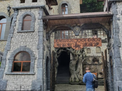 Нелегальный музей с ценностями на 6 миллионов обнаружили в ресторане дяди бывшего «теневого хозяина» Сочи