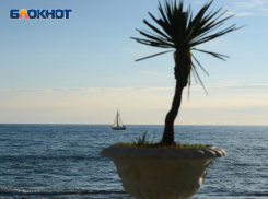 Туристам назвали 10 мест, которые стоит посетить в Сочи