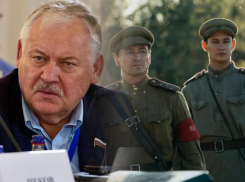 Депутат ГосДумы из Сочи раскритиковал фильм «Август» с Безруковым и Кологривым