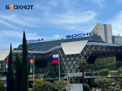 В аэропорту Сочи задержали экстремиста, оскорблявшего полицейских