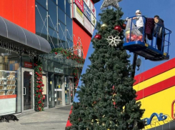 Сочи начали украшать к Новому году