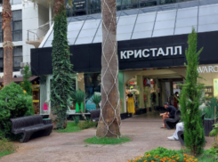 Долю в ТЦ на Навагинской в Сочи выставили на торги за 43 миллиона