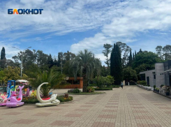 В Сочи ищут подрядчика, который за 39 миллионов рублей сделает передвижной дельфинарий