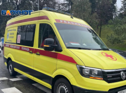 Грибник погиб от удара током на глазах у 8-летнего сына в лесу Сочи