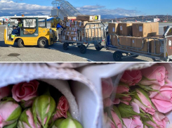  71 тонну цветов перевезли через аэропорт Сочи