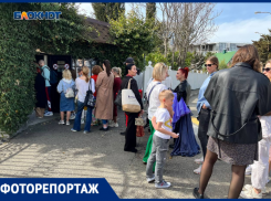 Гости и жители Сочи атаковали парк «Южные культуры»: узнали как сделать красочные фото и не стоять в долгих очередях