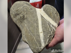 За 50 тысяч рублей продают в Сочи камень-сердце с берега реки