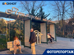 Весенняя погода, солнце и обновленная набережная: что происходит в конце января в Сочи