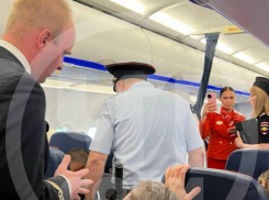 Нетрезвый пассажир устроил дебош на порту самолета из Сочи в Москву