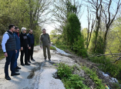 На территории Сочи началась ревизия земель для возможного возвращения в нацпарк