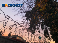 Школьнику из Сочи грозит до 20 лет тюрьмы за дропперство