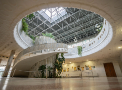 На ремонт закрыли музей «Дерево Дружбы» в Сочи