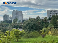 «Сочи стал столицей фальшивой доходности»: эксперт предупредил об опасных схемах для инвесторов