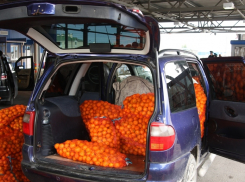  Тонну мандаринов пытались ввезти незаконно из Абхазии через Сочинскую таможню