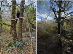 Ловушки браконьеров на медведей нашли в Сочинском нацпарке
