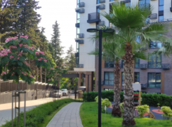 Сочинка пожаловалась Бастрыкину на выгул собак в ЖК «Моравия»