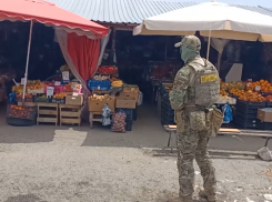 Полиция задержала продавцов чачи, убившей туристов в Сочи