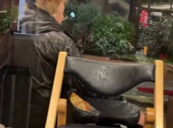 Мое сердце разбилось: бездомный кот, которого приютила кофейня в Сочи, и дедушка покорили Интернет