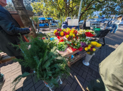 В Сочи оштрафовали женщину, продающую краснокнижные зимоцветы