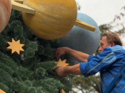 Новогоднюю елку установили в парке «Ривьера» в Сочи