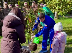 Космонавт-испытатель высадил 69-ю магнолию на Аллее космонавтов в Сочи