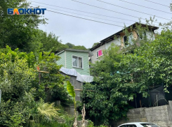 Бастрыкин поручил разобраться в проблемах СНТ «Золотой гребешок» Сочи