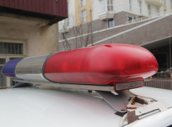 В Сочи росгвардейцы задержали находящегося в розыске вора