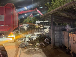 После публикации «Блокнот Сочи» убрали свалку, которая месяц не вывозилась у Дома ребенка